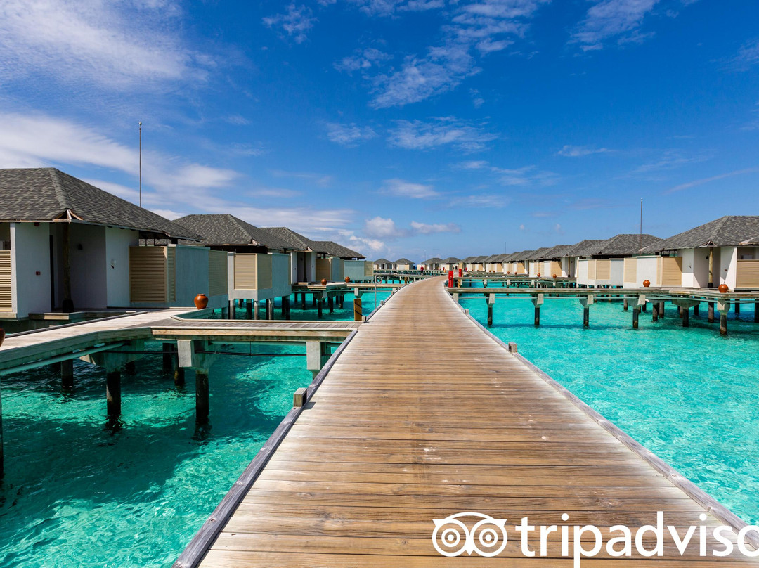 Meradhoo Island旅游攻略图片