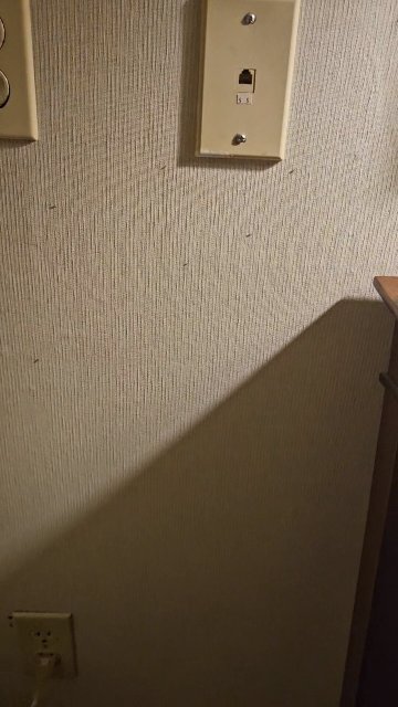 普罗维登斯/沃里克机场欢朋酒店及套房-客卧