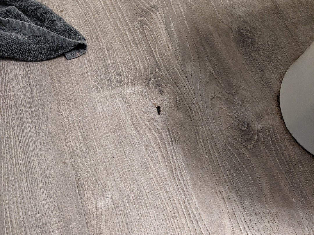 Farmington Motel主图