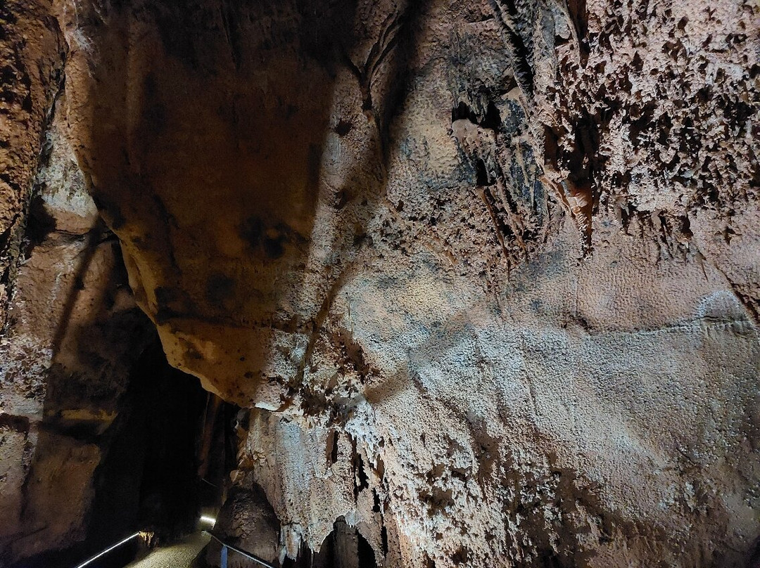 Grotte des Carbonnieres-Lacave必去景点