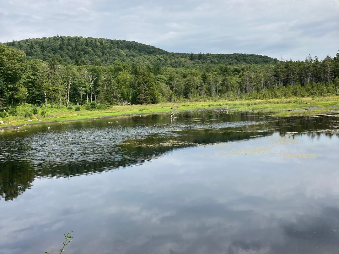 Williamstown Motel主图