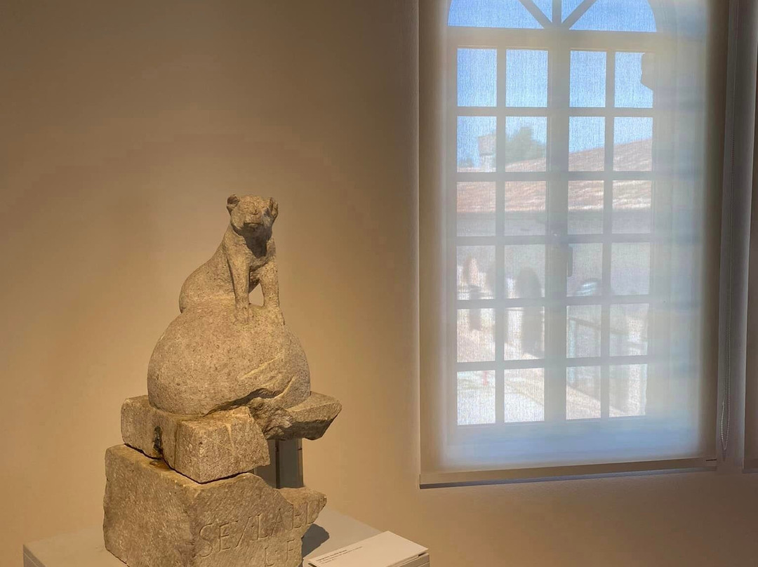 Museo Nazionale di Archeologia del Mare-卡奥莱必去景点