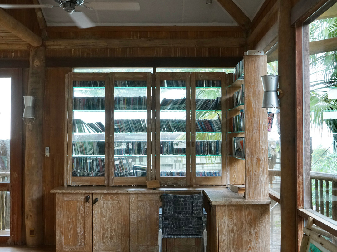 索尼娃奇瑞主图