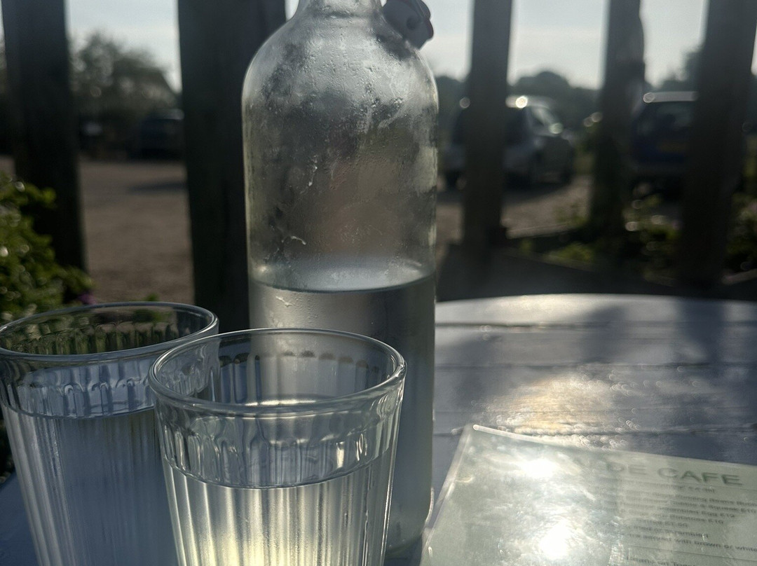 Alde Cafe