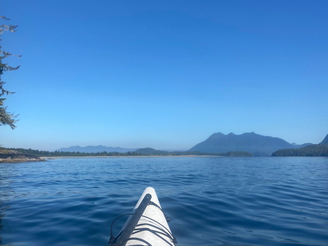 Tofino Sea Kayaking Day Tours景点图片
