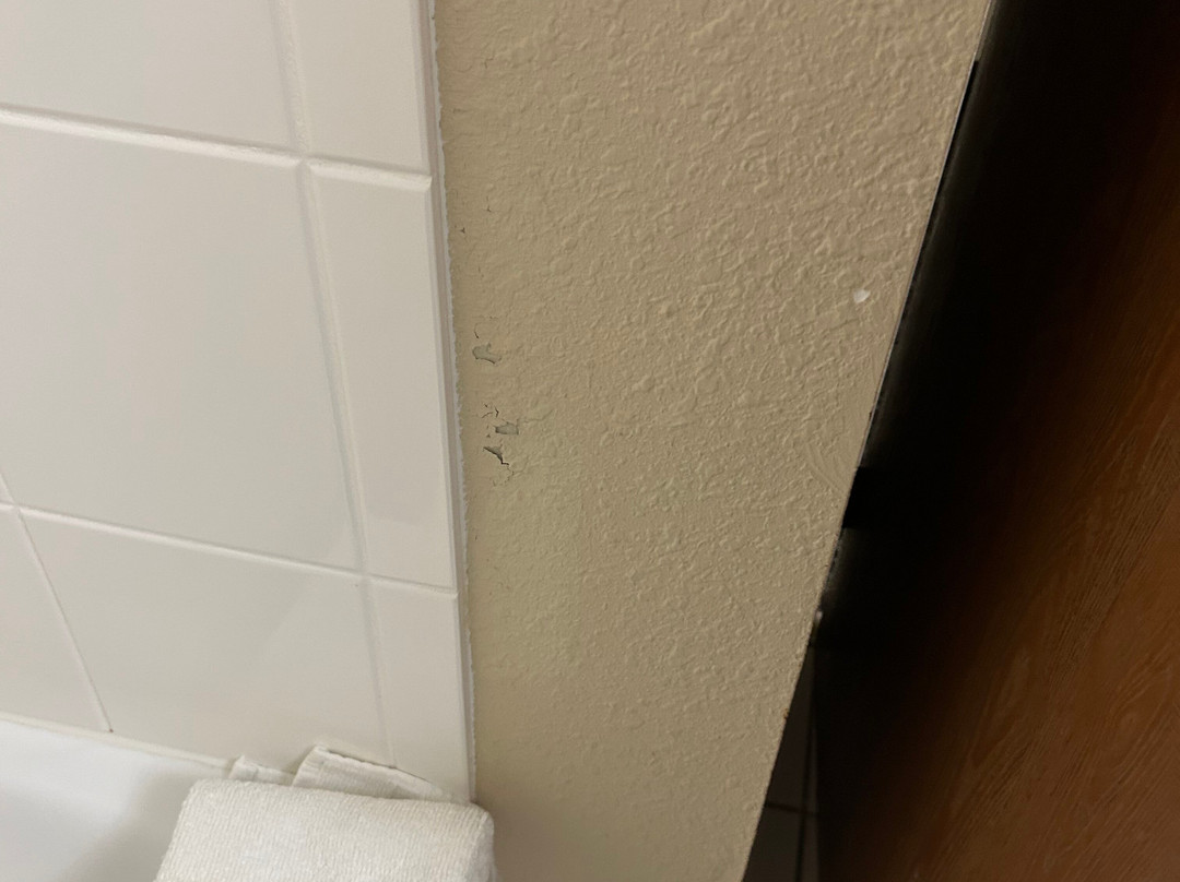 Quality Inn & Suites Downtown Mansfield主图