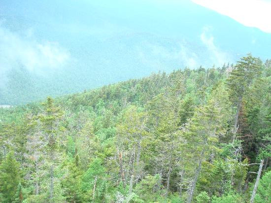 Whiteface Mountain-Wilmington必去景点