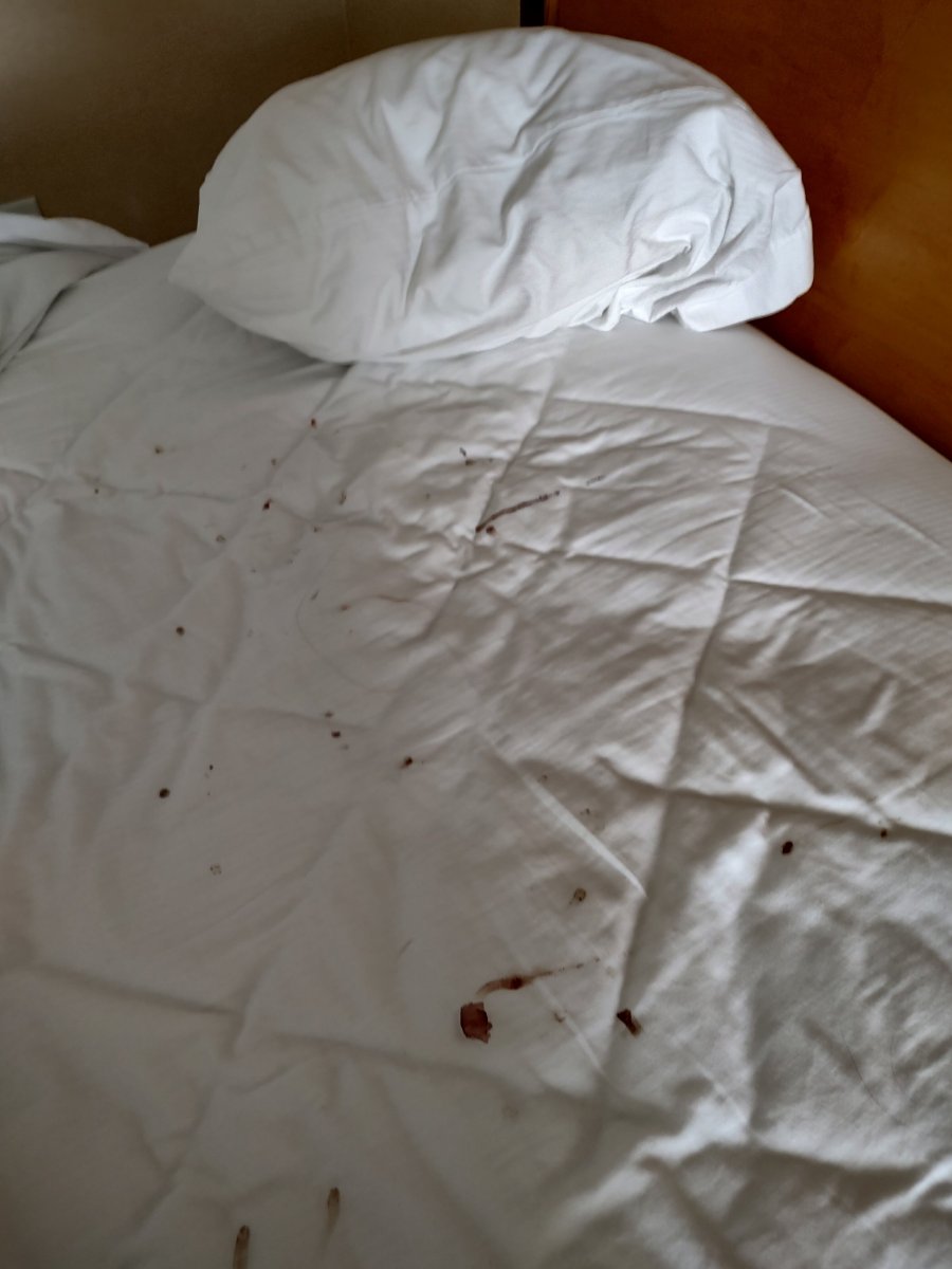 好莱坞班戈 酒店-官方