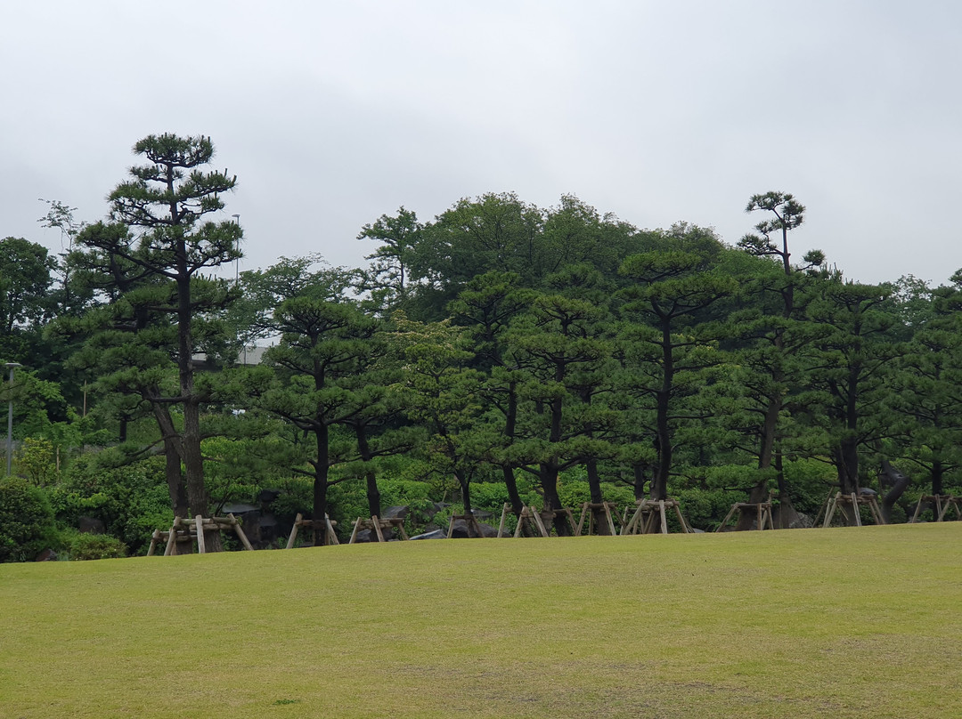 品川市民公园-品川区必去景点