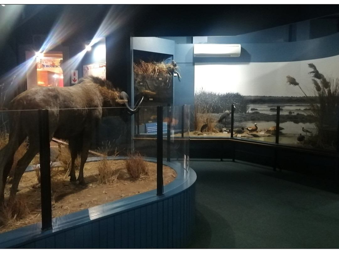 McGregor Museum-金伯利必去景点