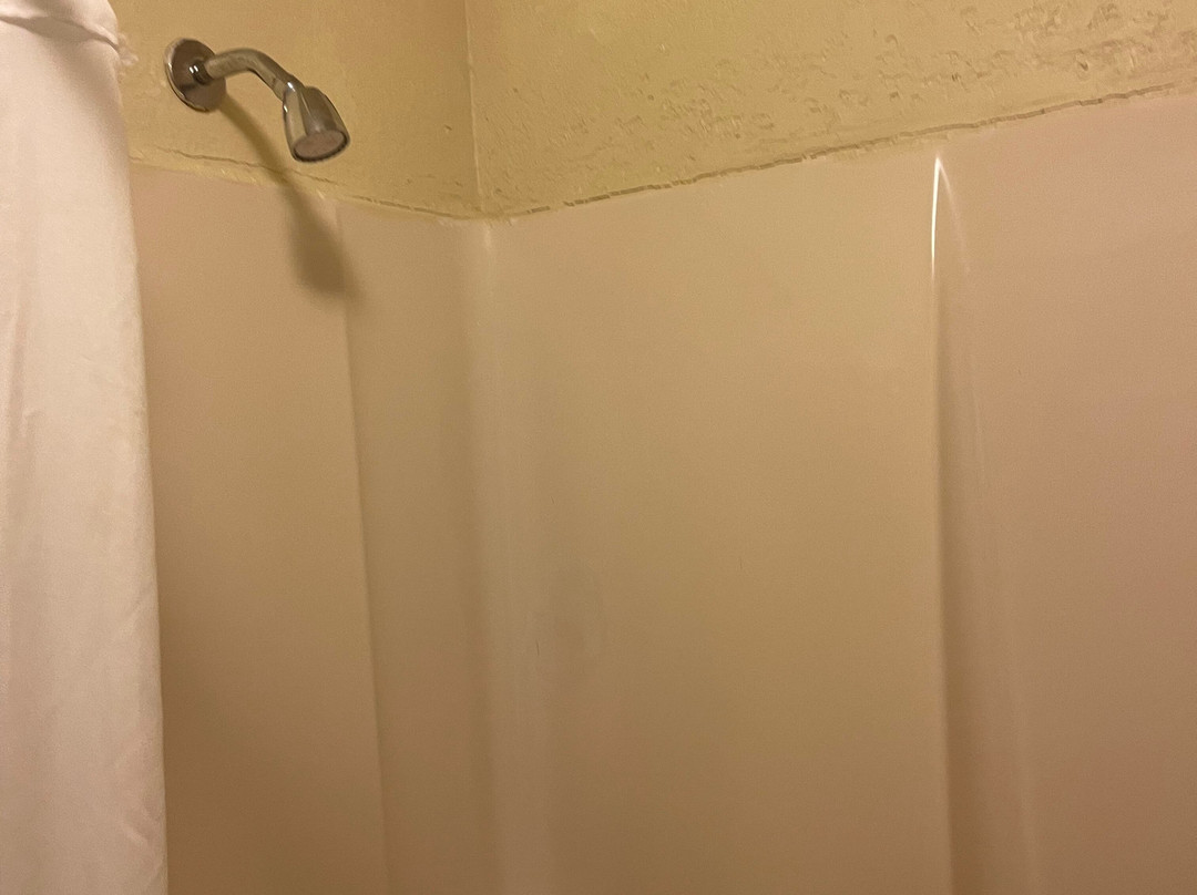 温特黑文罗伊湖海滩酒店主图