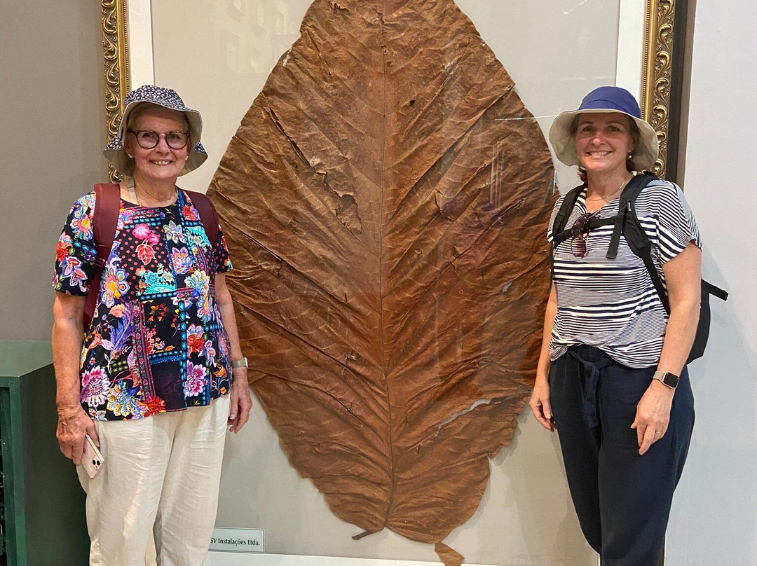 TransferVictor Tours-玛瑙斯必去景点