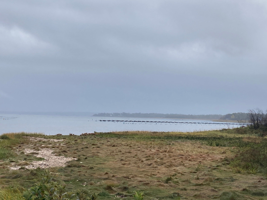 Duncan's Island Tours景点图片