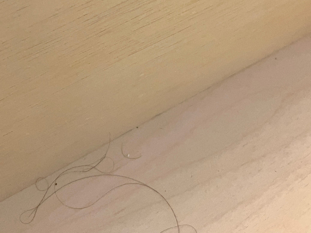 Hyatt Place Detroit/Livonia主图