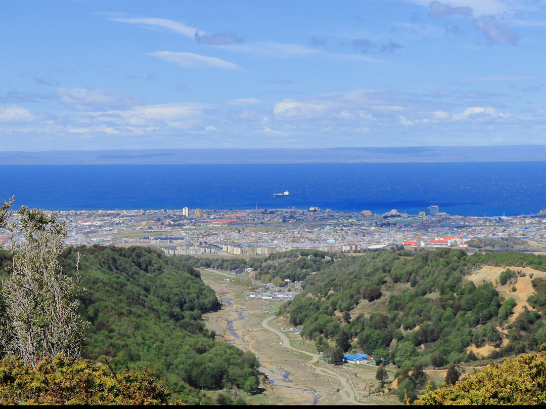 Reserva nacional Magallanes景点图片