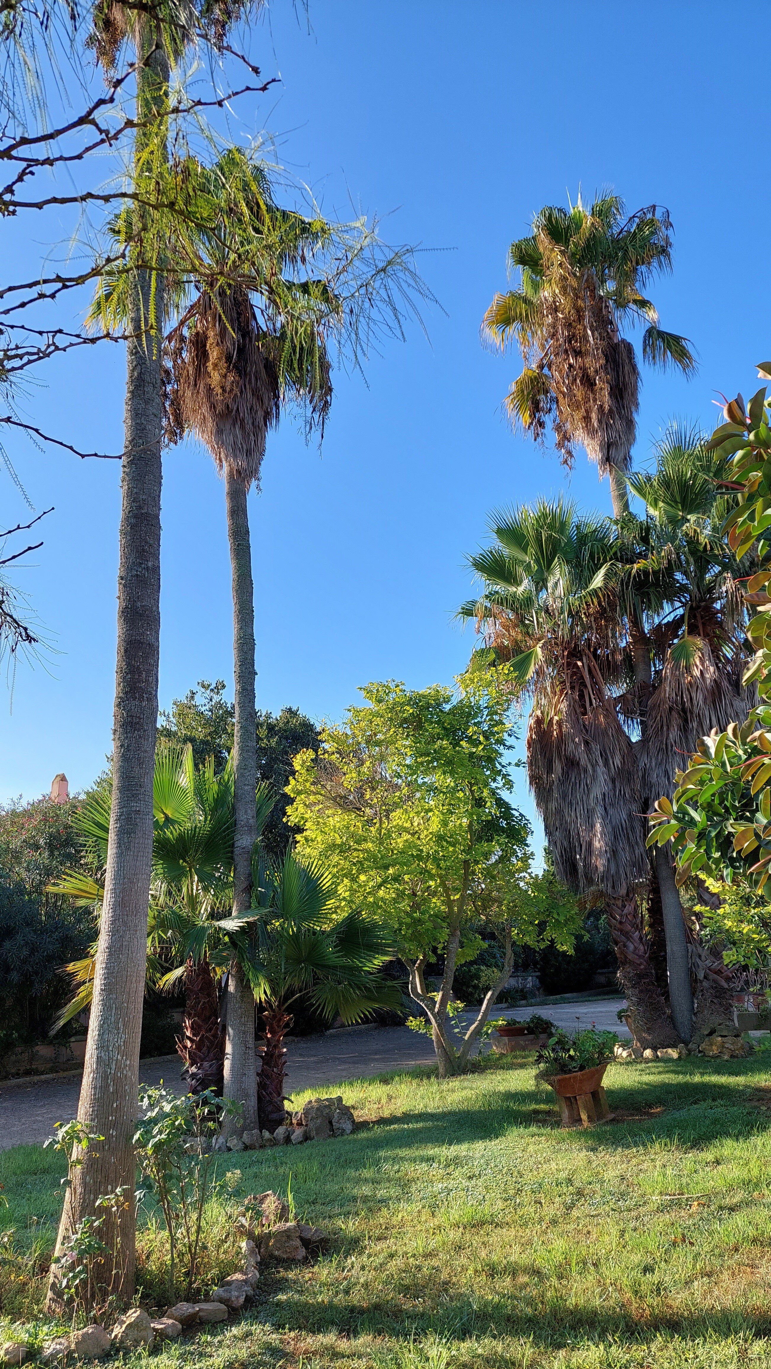 Aumallia Hotel & Spa-浴室