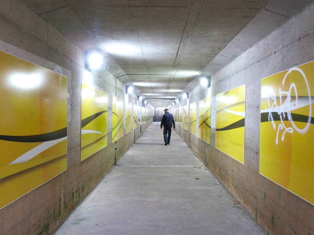 Domaine Sainte-Anne-Sainte Anne de Beaupre必去景点