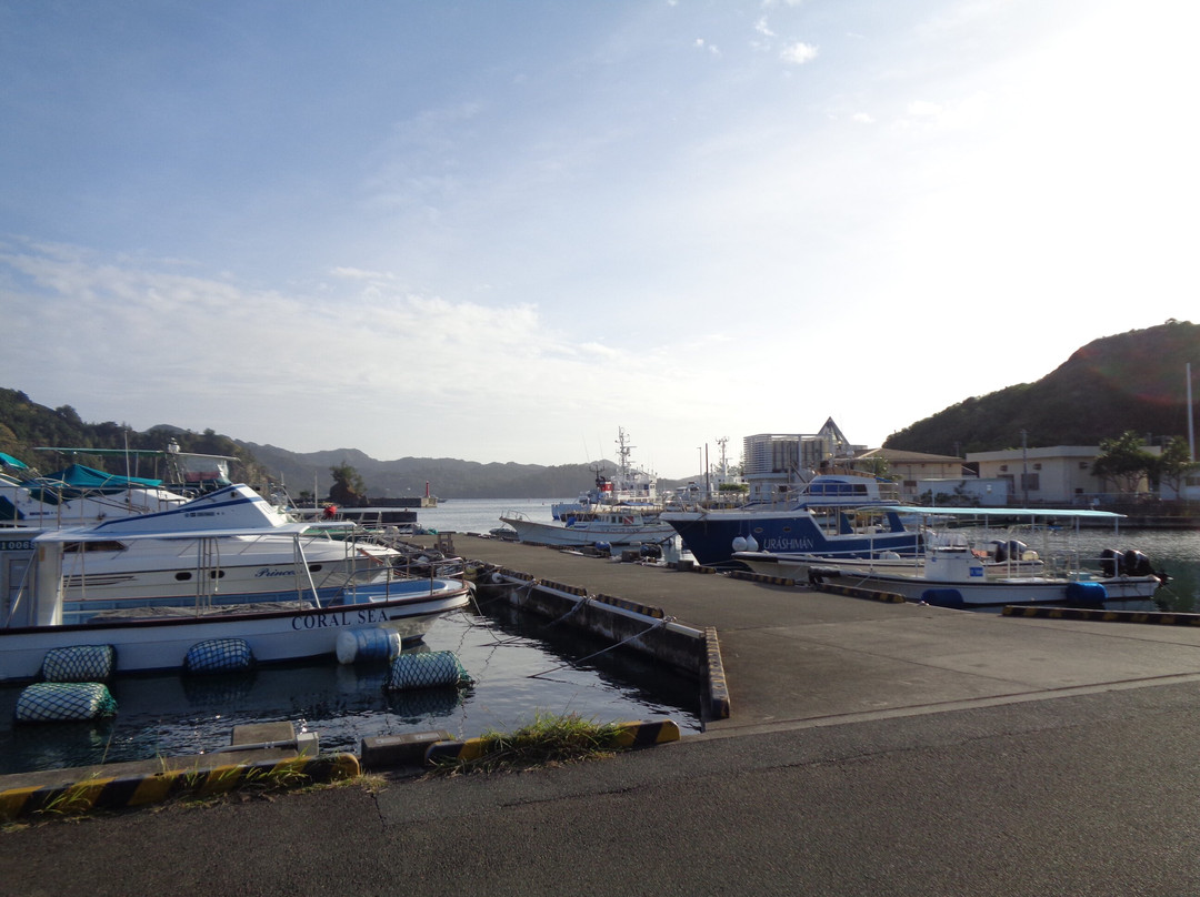 Tobiuo Pier-Chichi-jima必去景点
