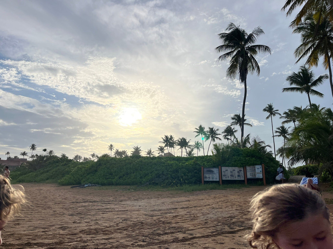 Palmas del Mar Beach-Humacao必去景点