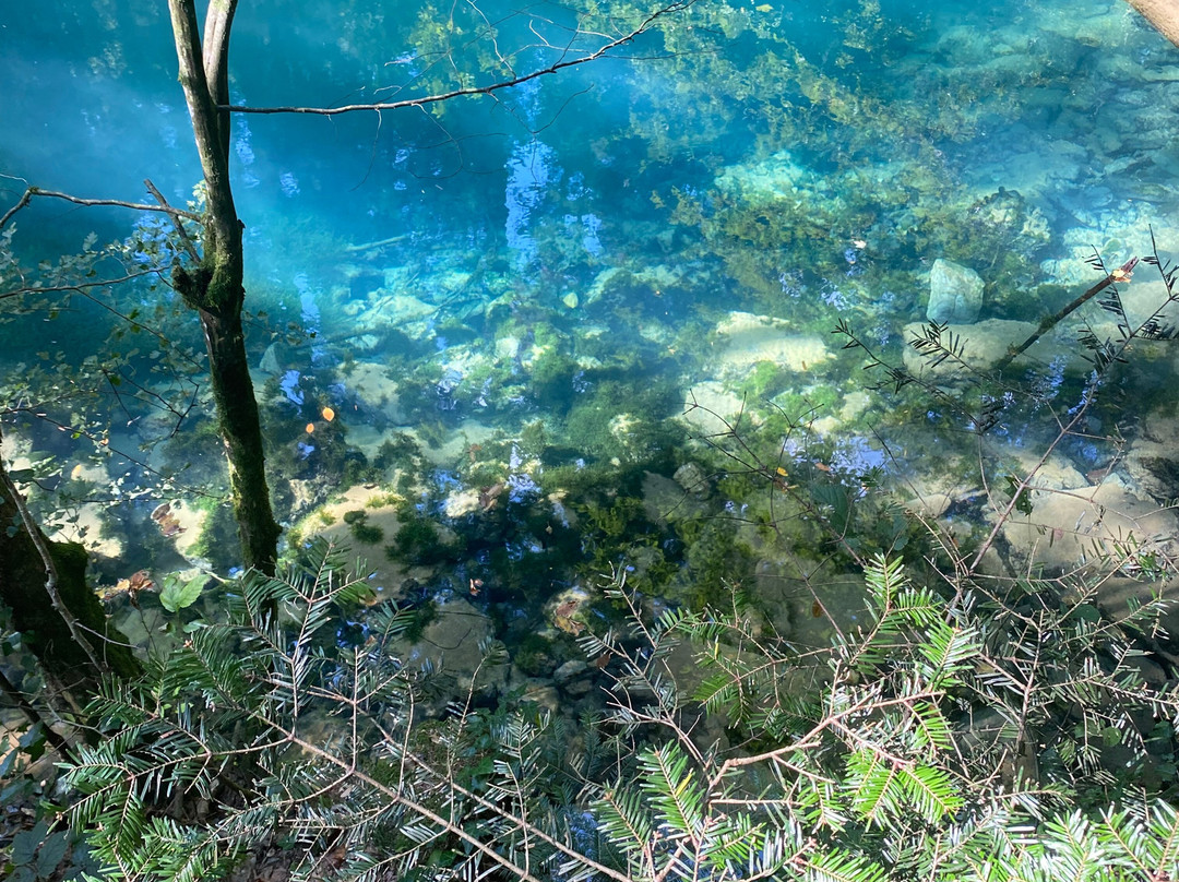 Ochiul Beiului Lake景点图片