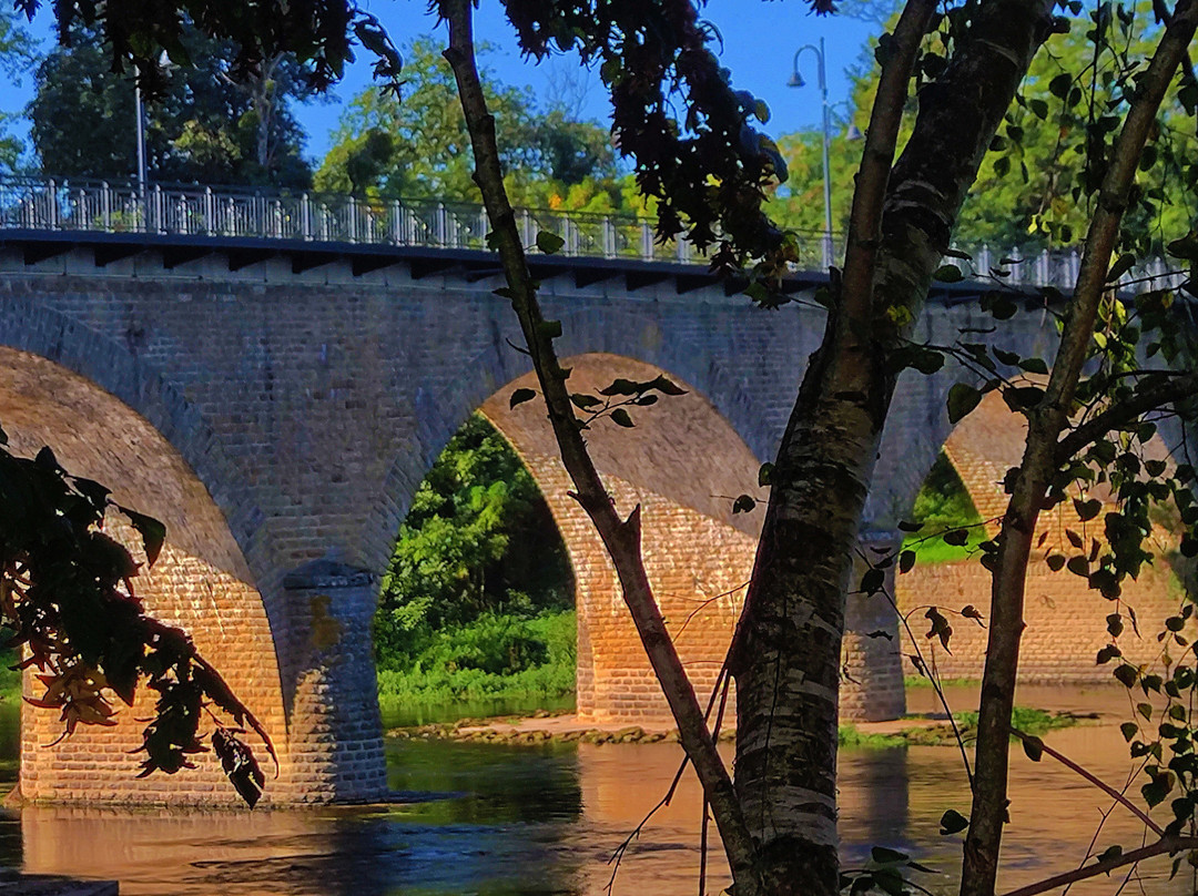 Pont de Dangé-Saint-Romain景点图片