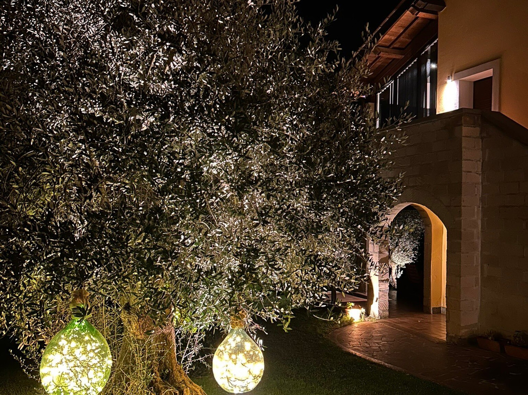 Agriturismo La Valle Di Vico主图