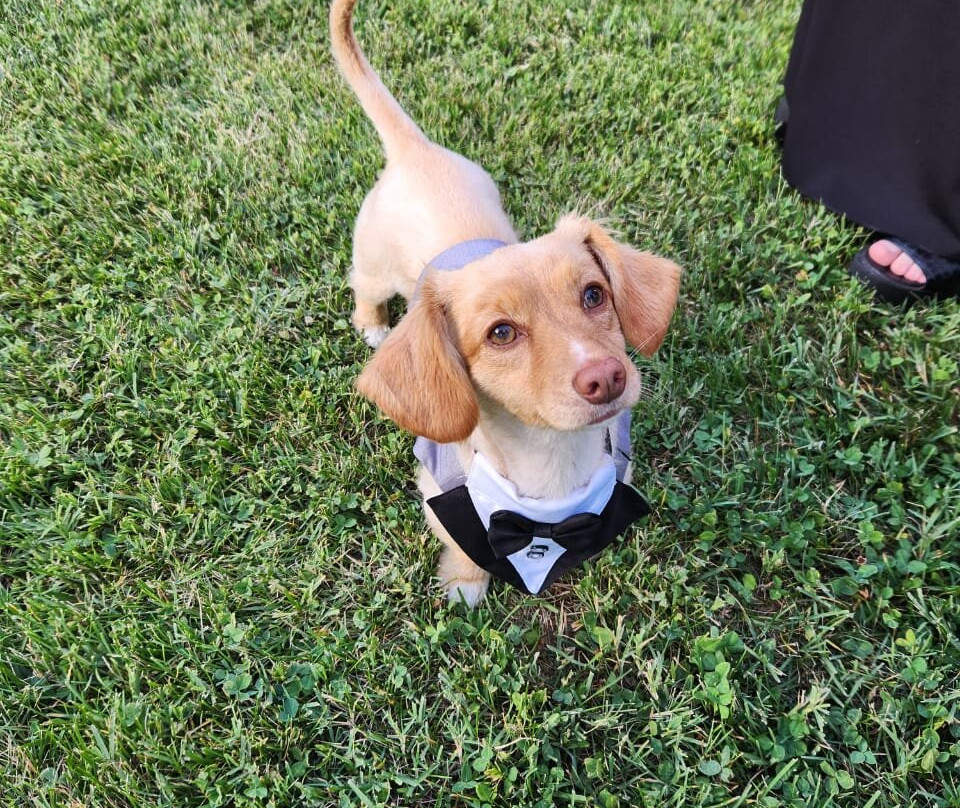 Hotel Vina La Playa主图