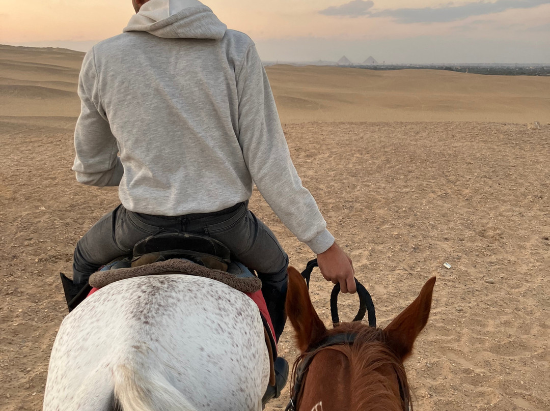 Cairo Horse Riding School