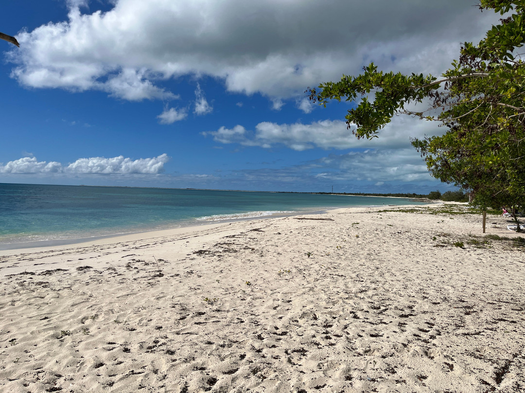Barbuda Express-圣 约翰必去景点