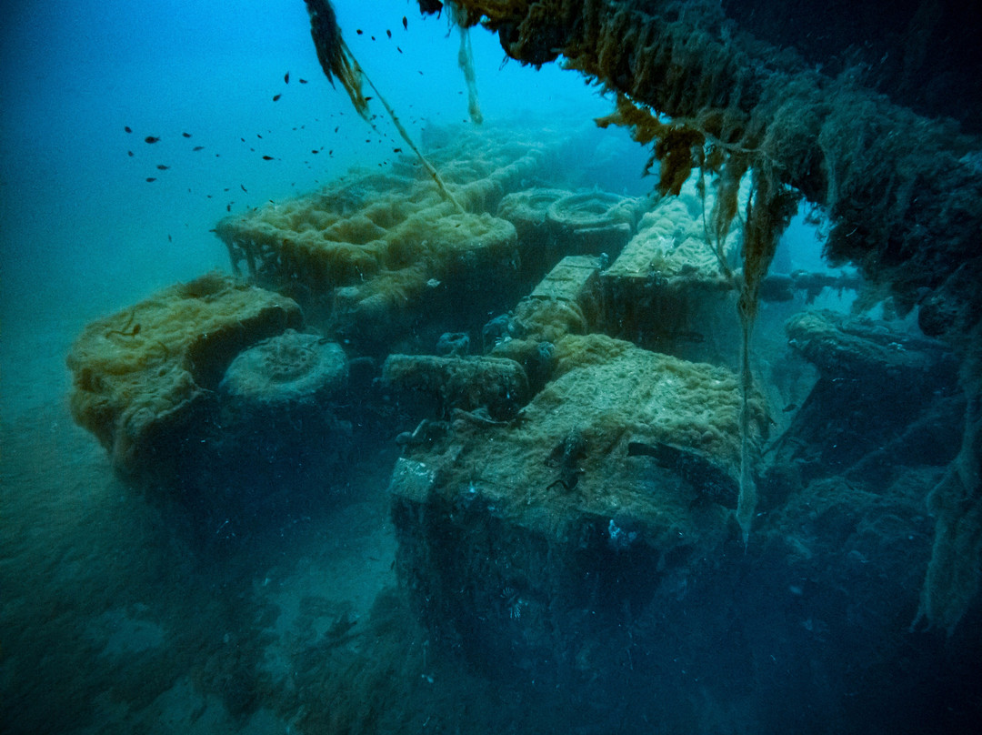 TD Diving-利马索尔必去景点