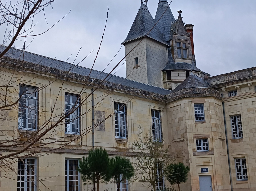 Chateau de Dissay景点图片