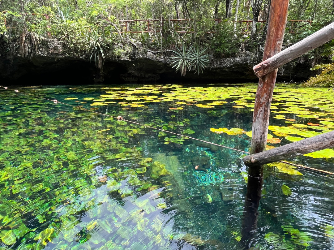 Cenote Nicte-ha-图伦必去景点