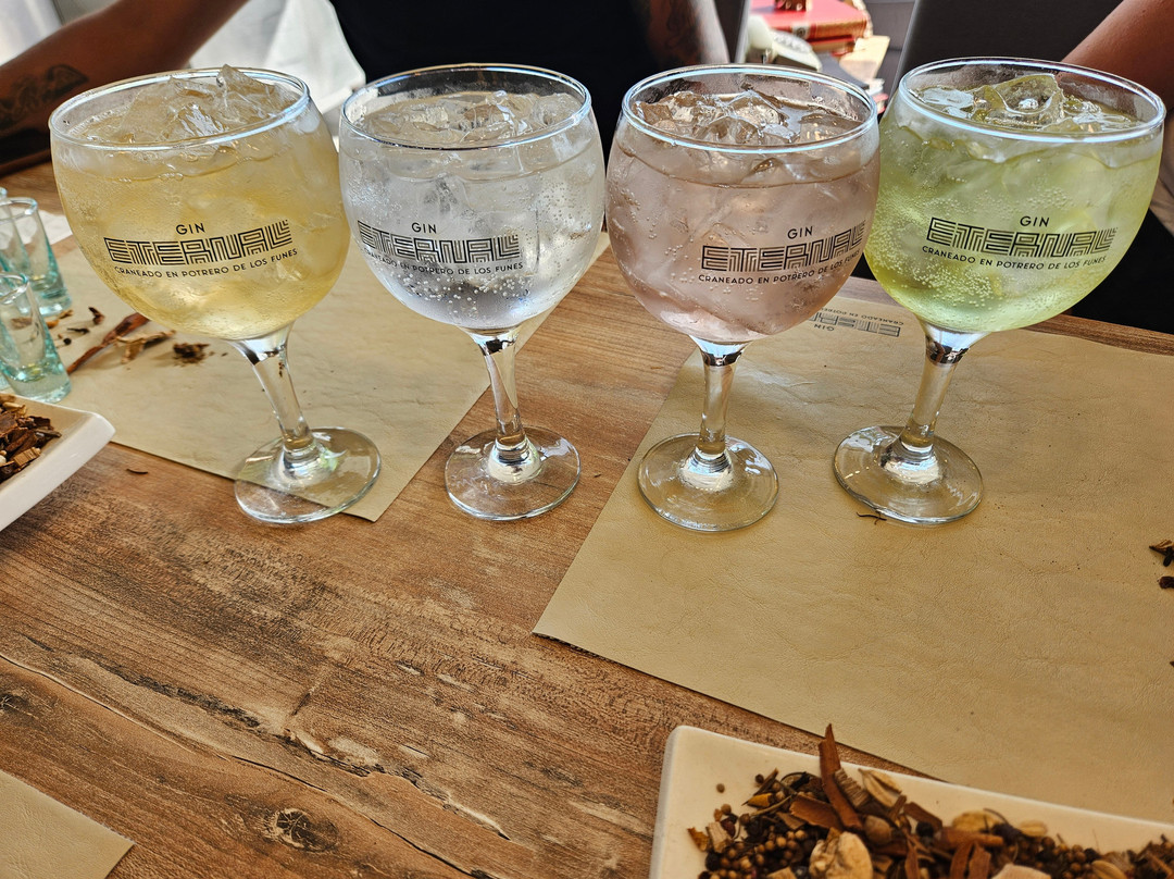 Gin Eternal-Potrero de los Funes必去景点