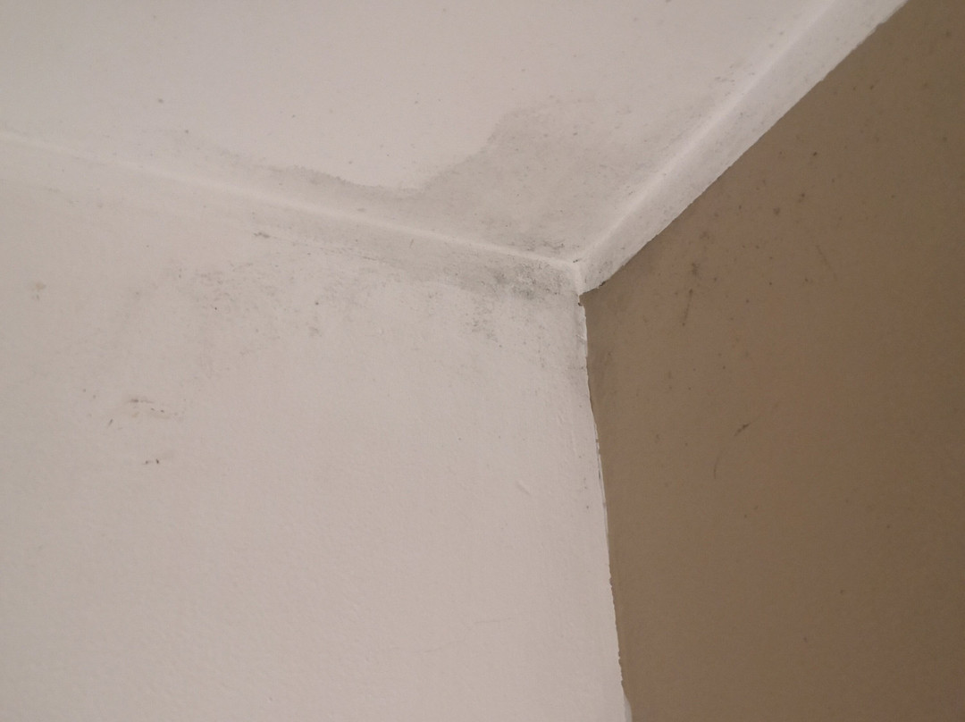 Masseria Sant'elia主图