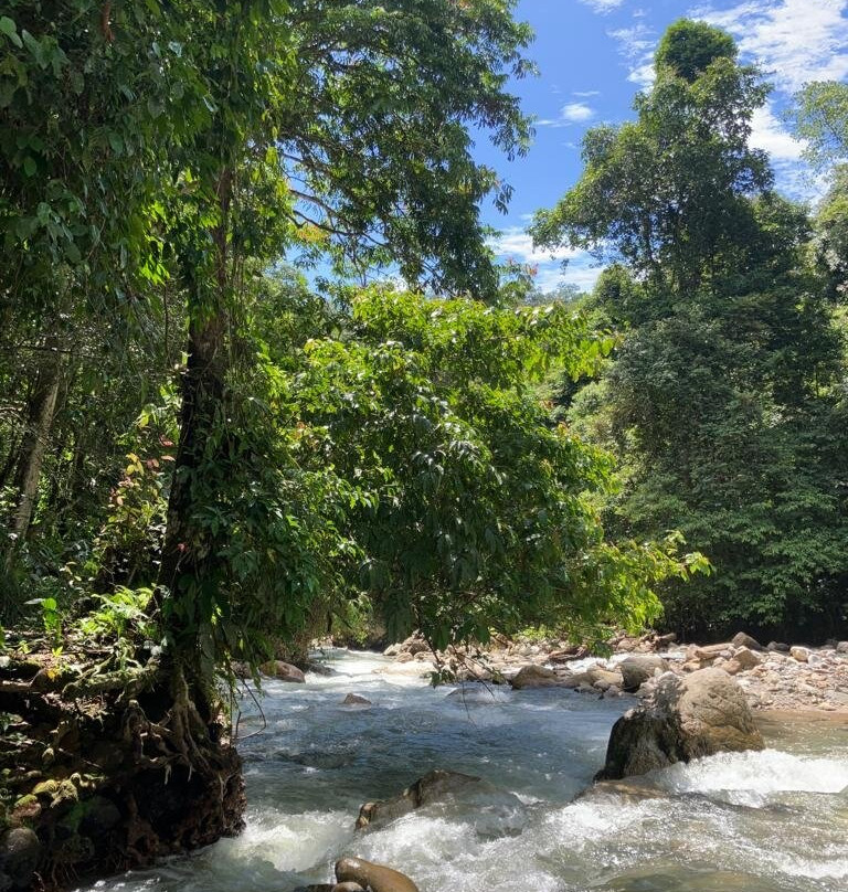 Ketambe Jungle Experience with Iwan and Team-Ketambe必去景点