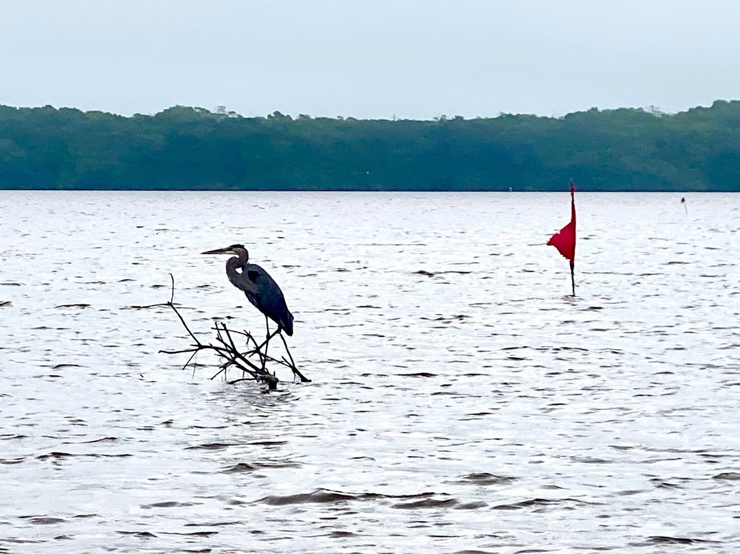 Hotel San Julio主图