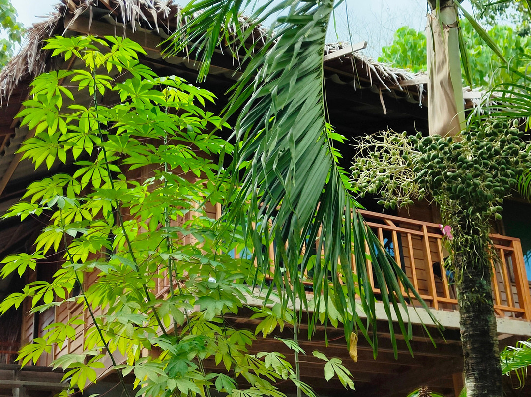 The Tropical Koh Mook主图