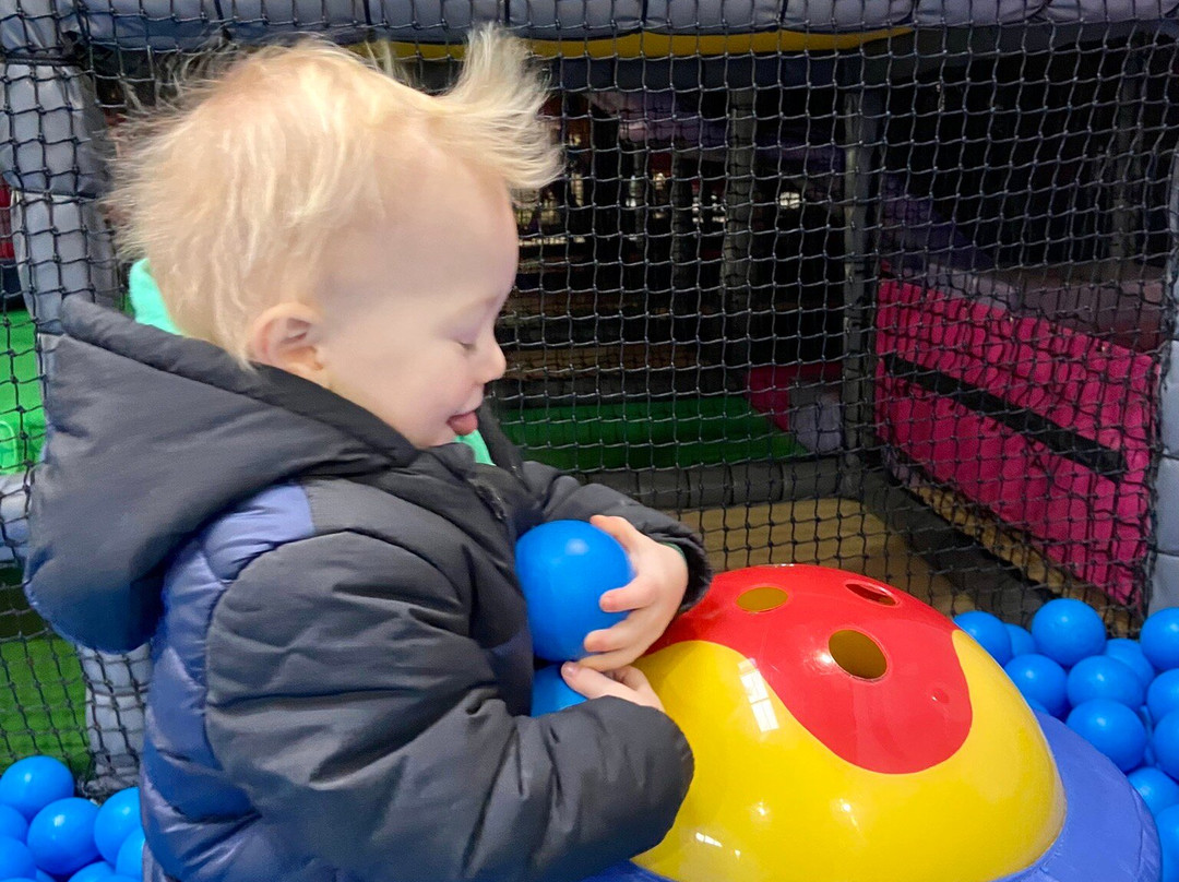 Cefn Mably Farm Park景点图片