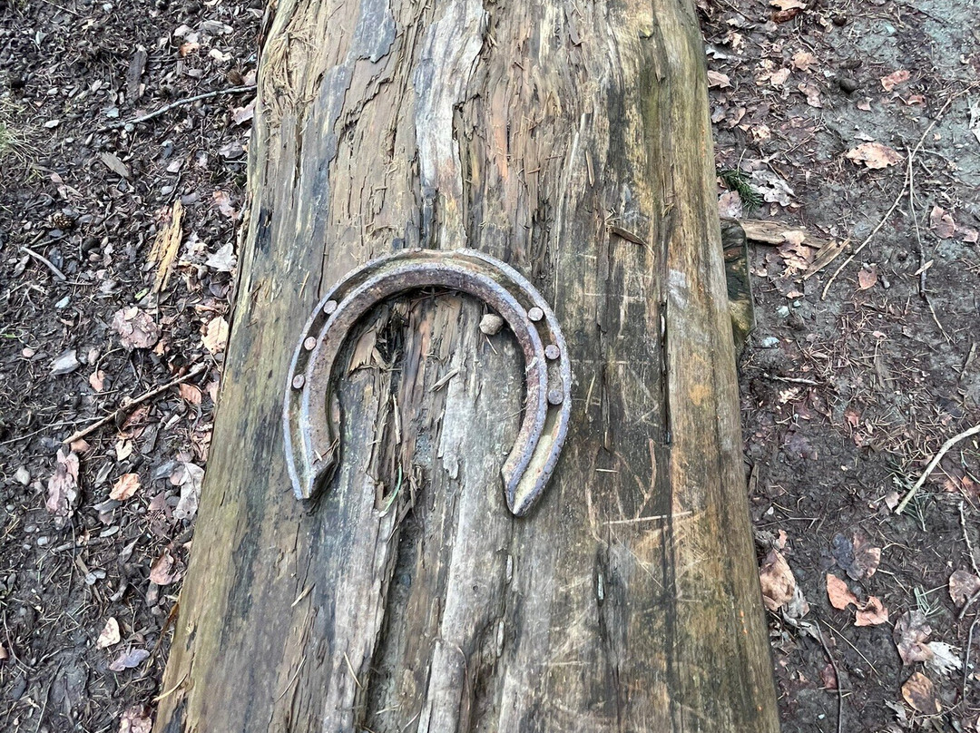 Llangollen and the Horseshoe Falls景点图片