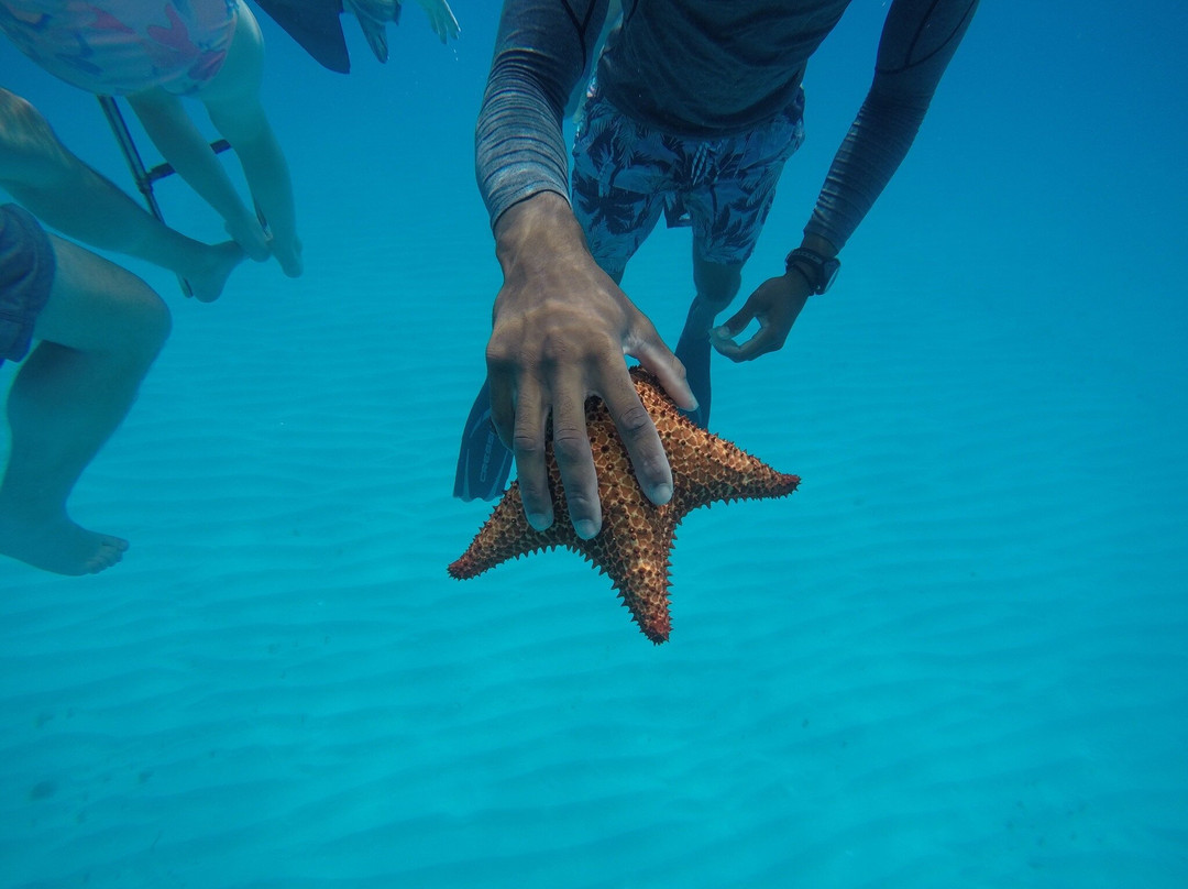 Grand Turk Diving-Cockburn Town必去景点