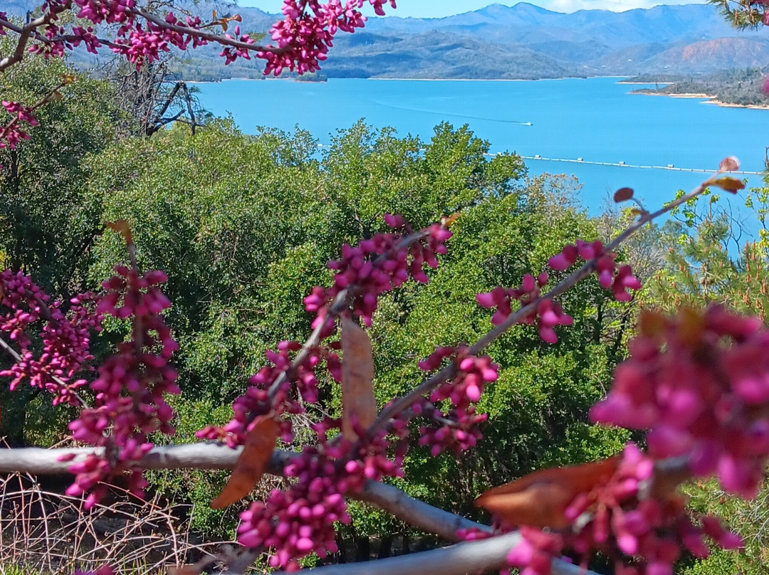 Whiskeytown Lake景点图片
