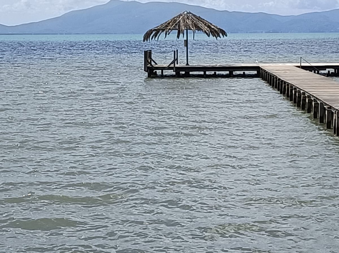 Spiaggia Della Fertilia景点图片