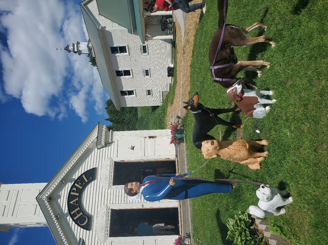 Dog Mountain Home of Stephen Huneck Gallery-圣约翰斯伯里必去景点