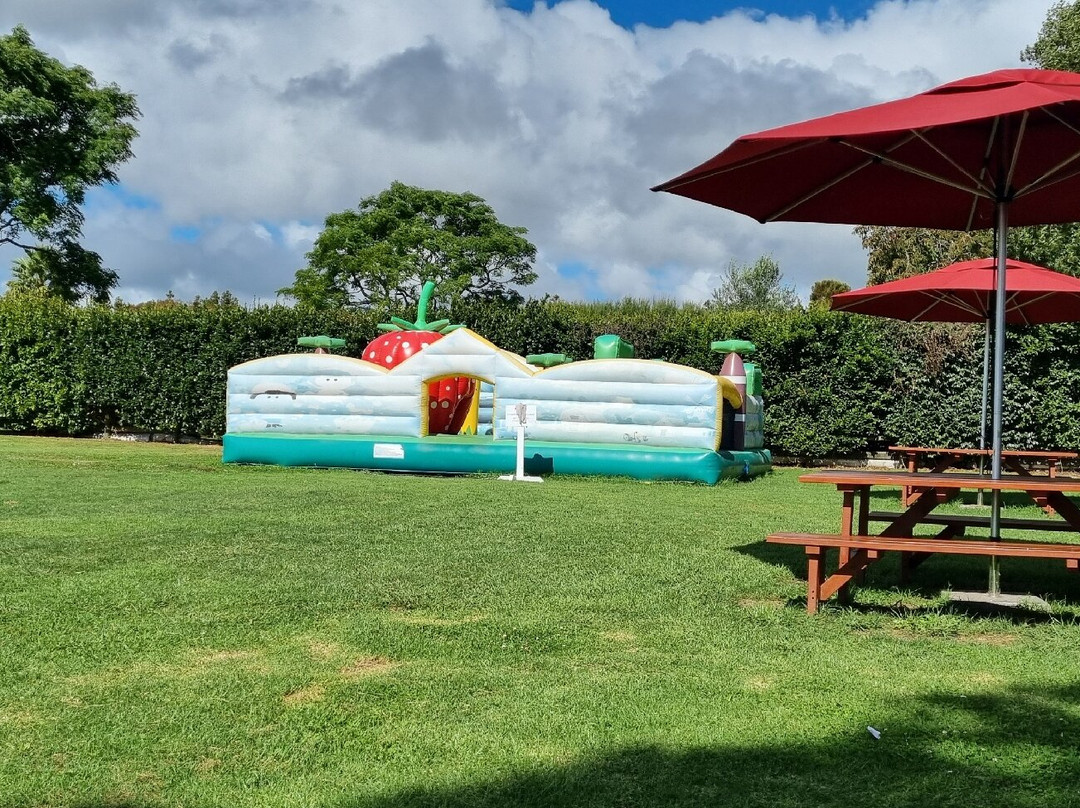 Good Planet-Riverhead必去景点