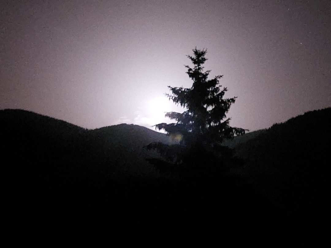 Hotel Gasthof Wachter