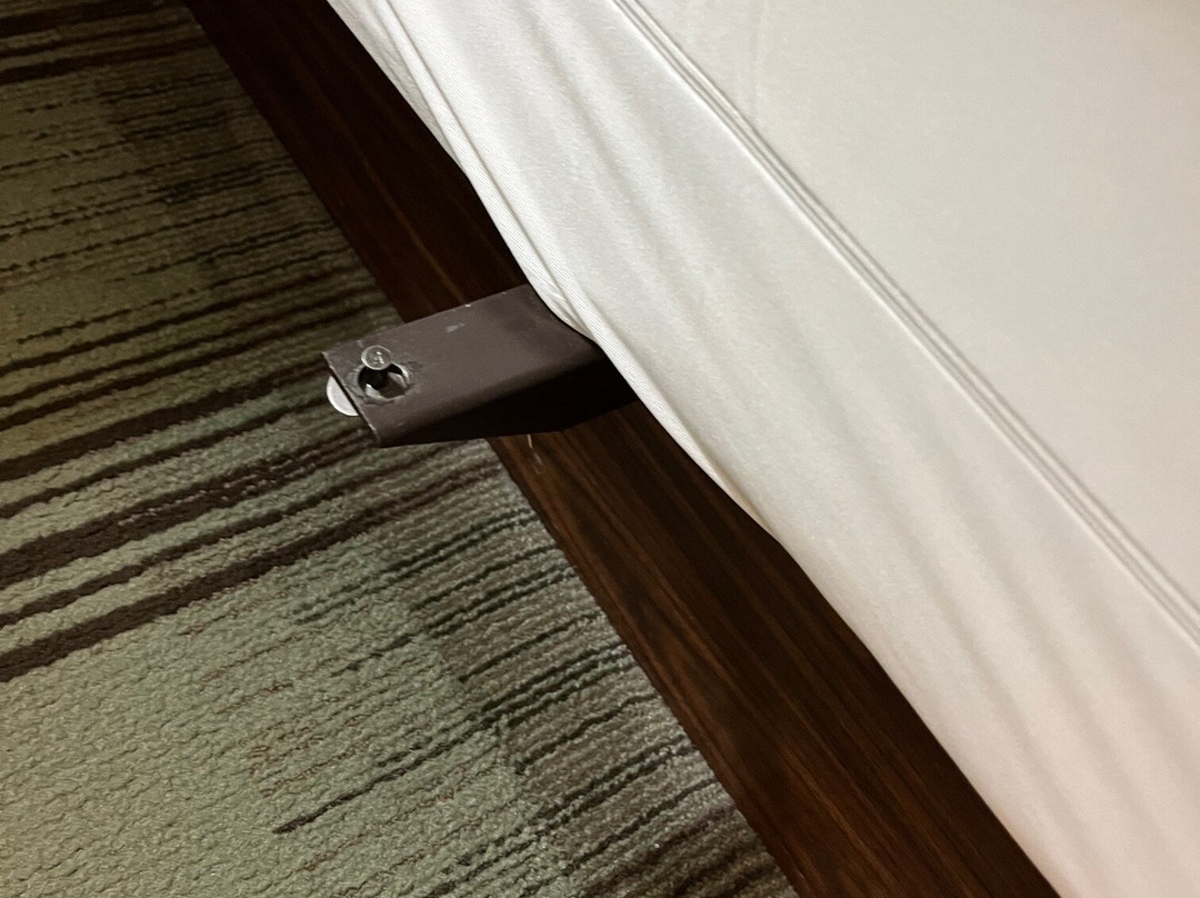 Homewood Suites by Hilton Charleston - Mt. Pleasant主图