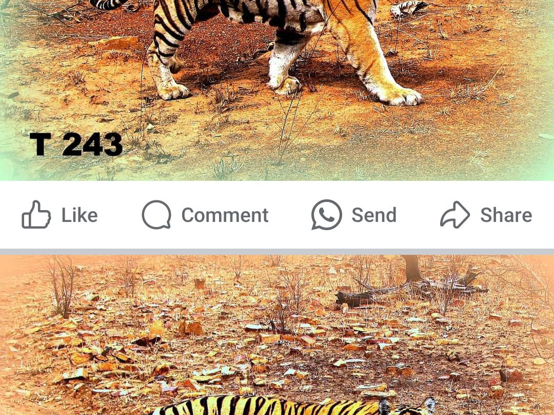 Panna National Park景点图片