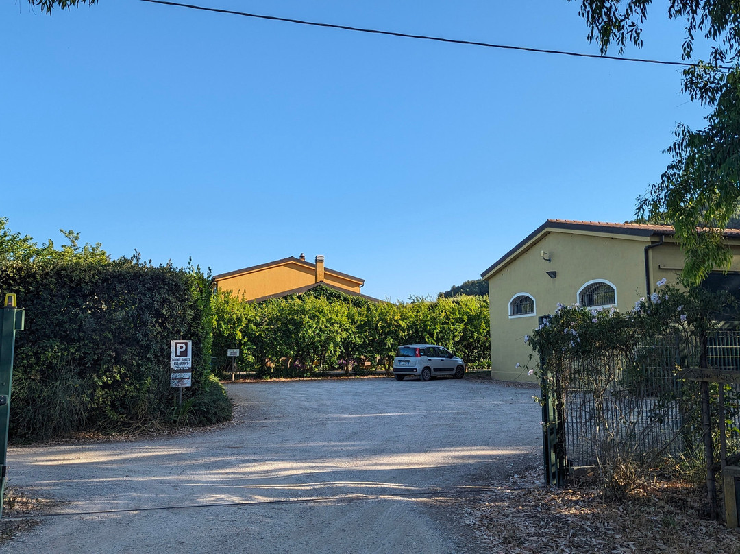 Wine Resort Leda' d'Ittiri主图