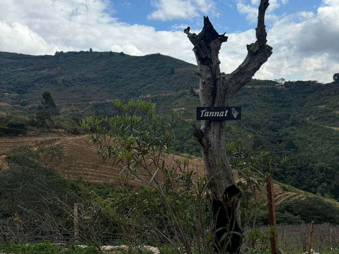 Bodegas Landsua-Samaipata必去景点