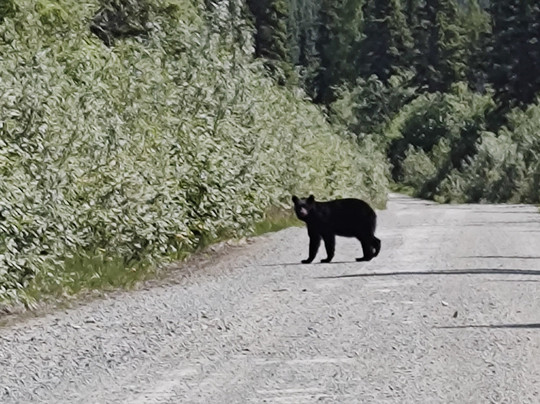 Wrangell-St Elias National Park
